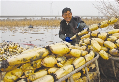 茶庵乡常住人口_常住人口登记表(3)