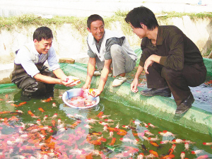 候集镇人口_尤集镇解圩小学生图片